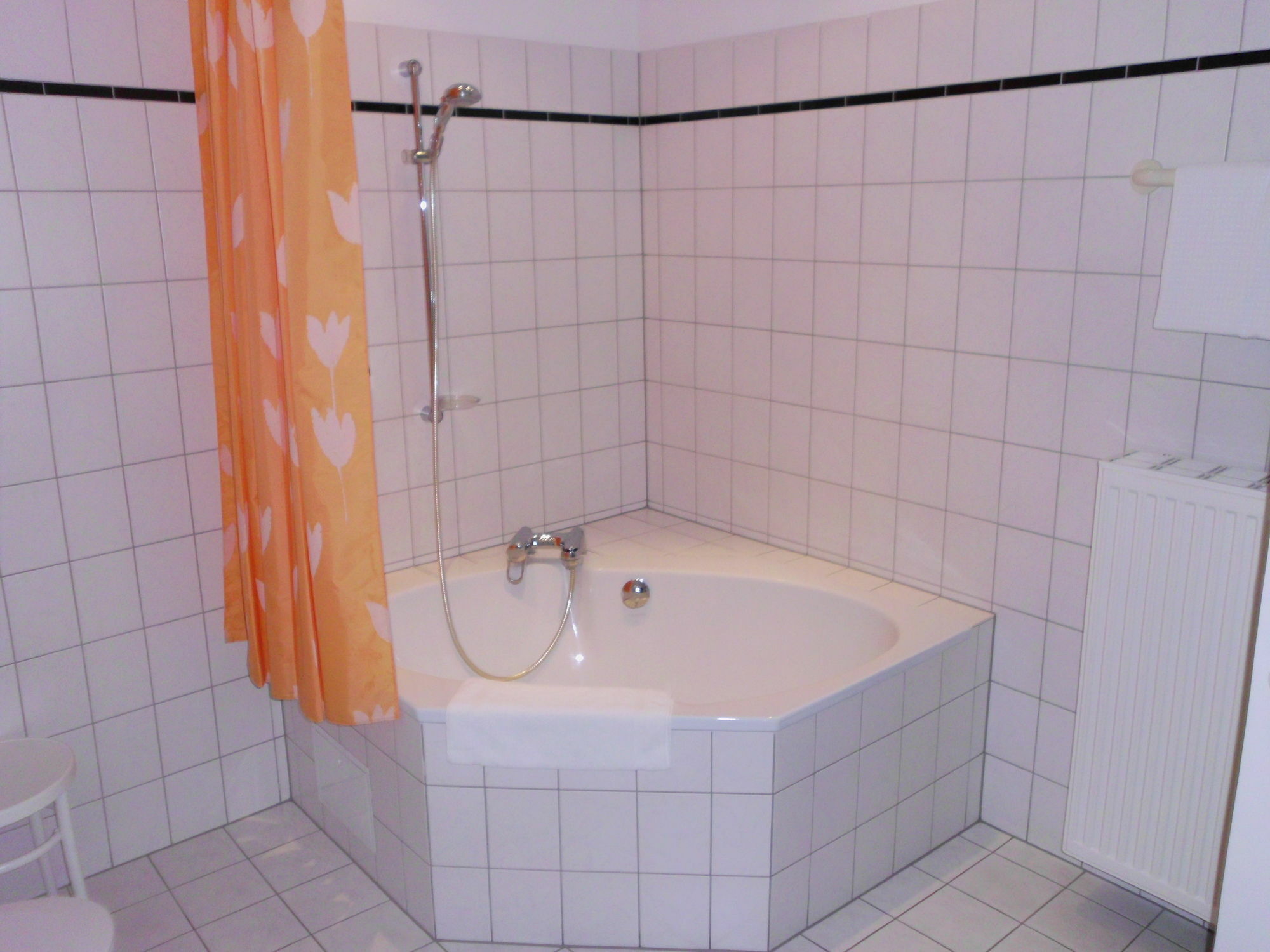 Wilder Mann Hotel 4*